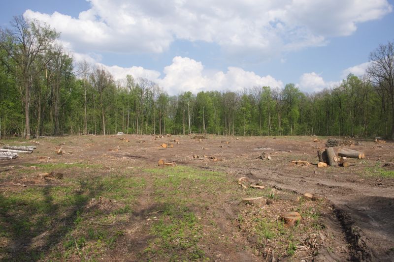 Pasture Clearing in Utah County, UT