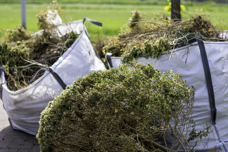 Brush Clearing Service in Gwinnett County, GA