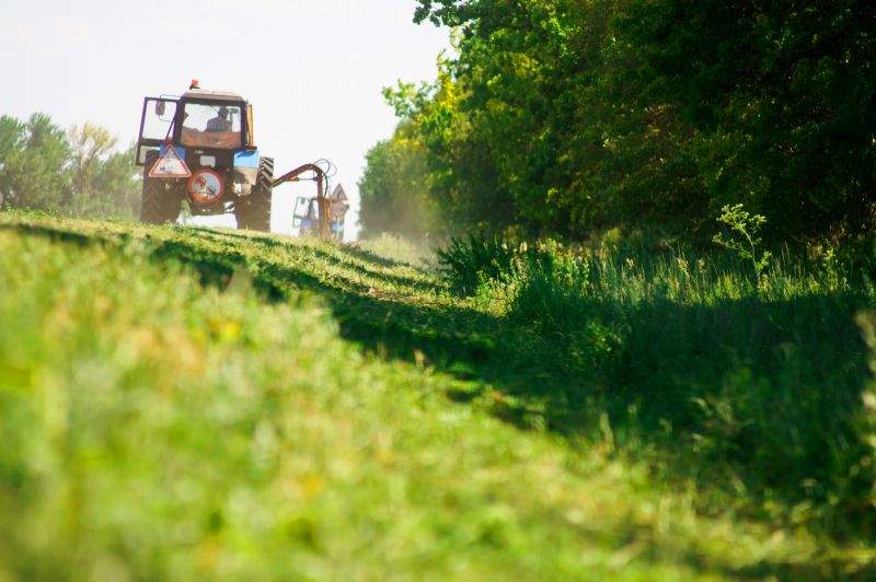Brush Clearing Service in Utah County, UT