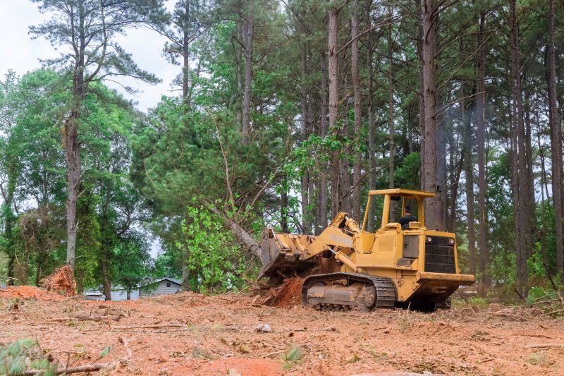 Bulldozer Clearing in Cumming, GA
