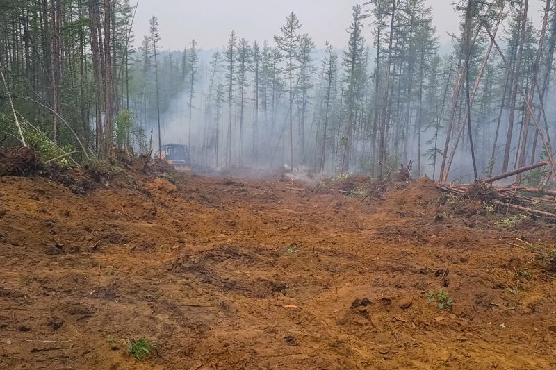 Bulldozer Clearing in Cumming, GA