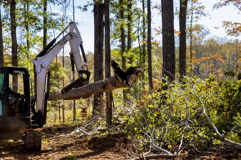 Construction Site Land Clearing in Atlanta, GA