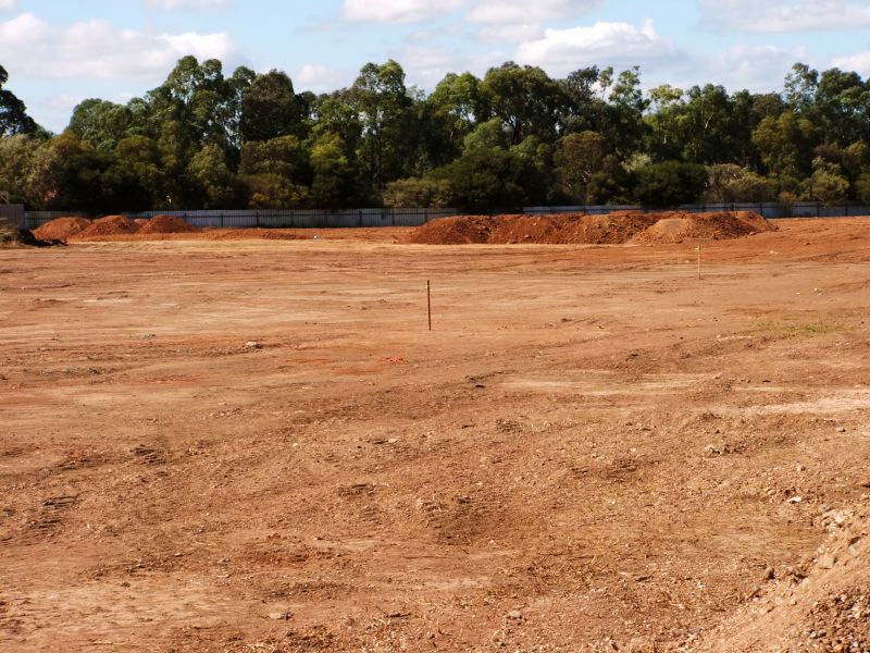 Dirt Relocation in Houston, TX