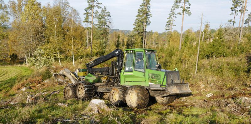 Forestry Clearing in Katy, TX