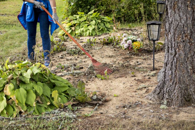 Trees Clearing detail