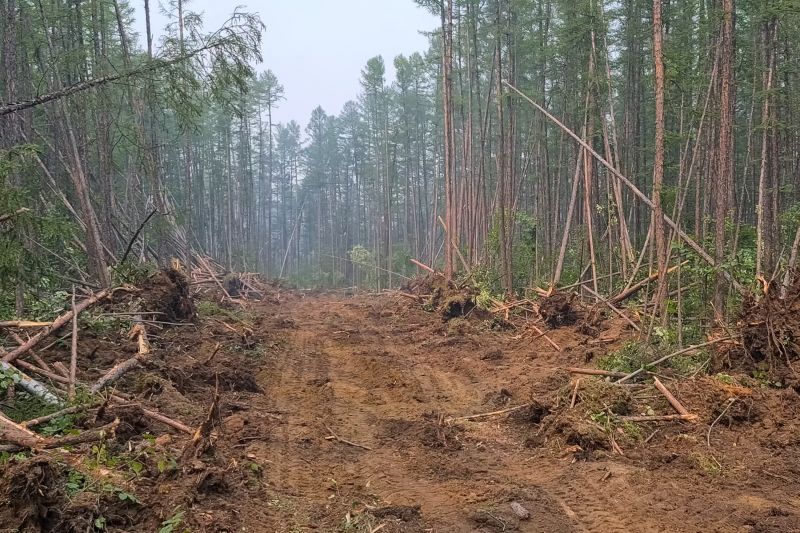 Land Clearing in Gwinnett County, GA