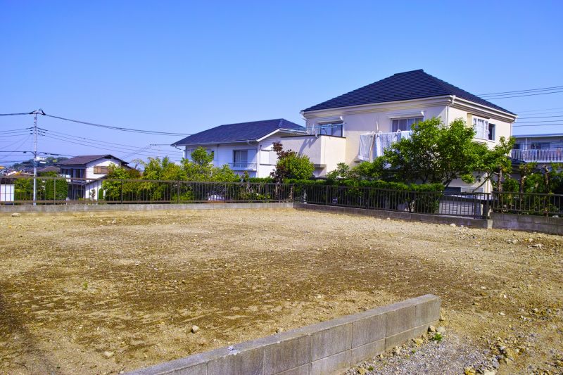 Property Line Clearing in Houston, TX