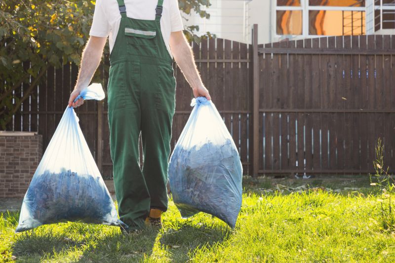 Site Clearing Service