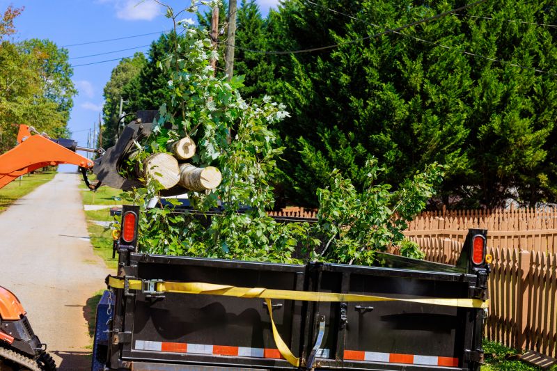 Site Clearing Service