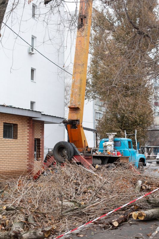 Site Clearing Service