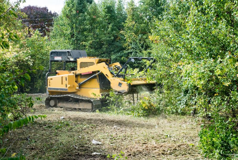 Slope Clearing in Katy, TX